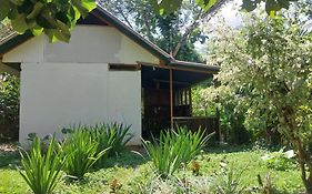 Jardin De Las Musas