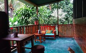 Jardin De Las Musas